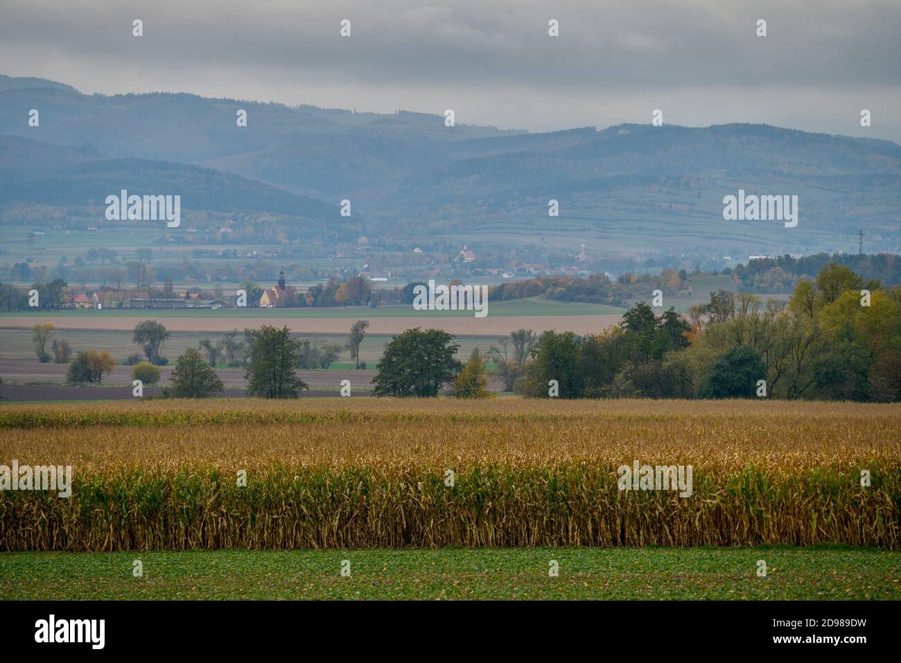 Misty colorful autumn landscape in the foot of the Owl Mountains Lower Silesia Gory Sowie Luxurious fall autumn colors Stock Photo