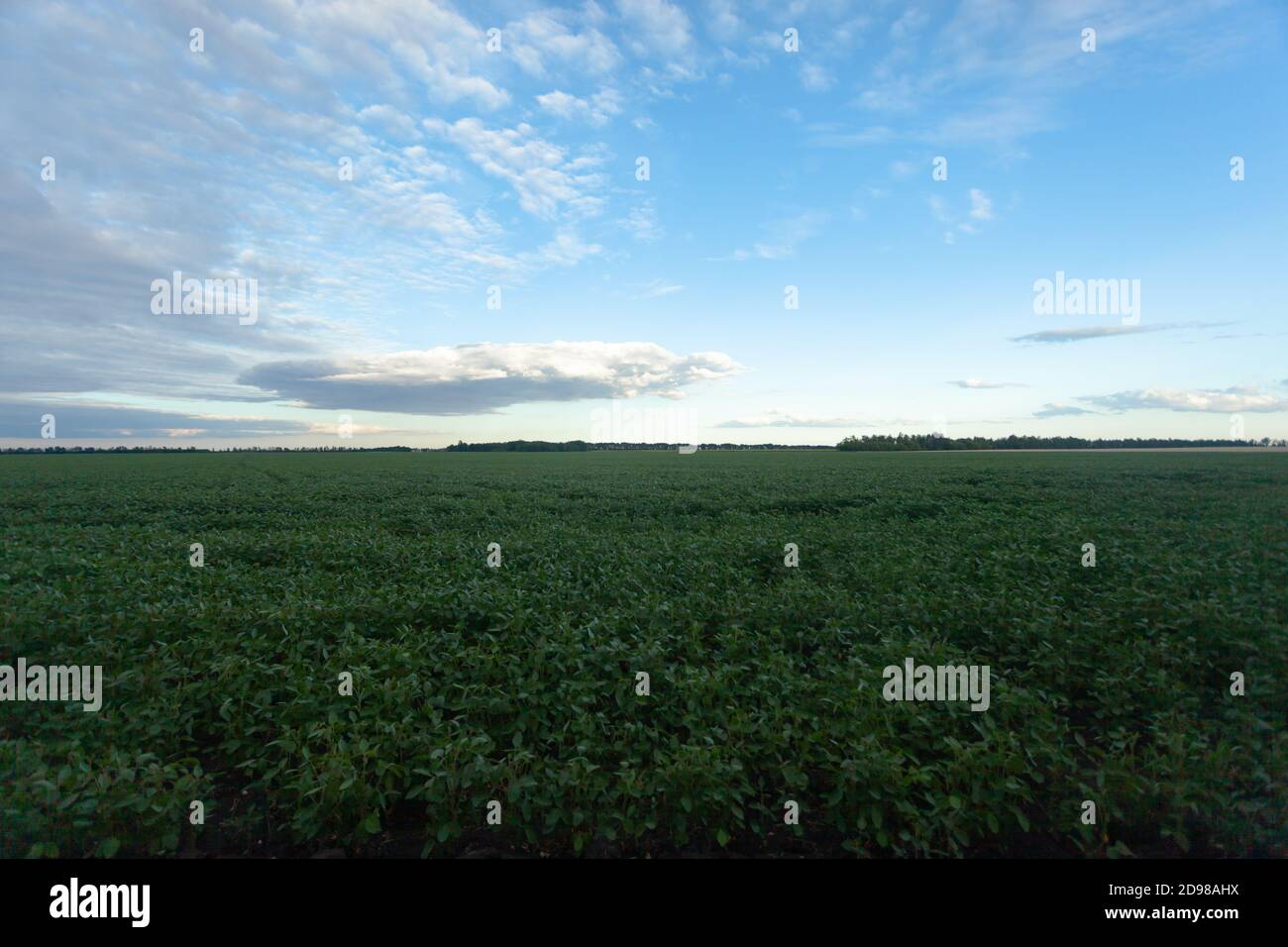 blue it with white clouds over the green field Stock Photo