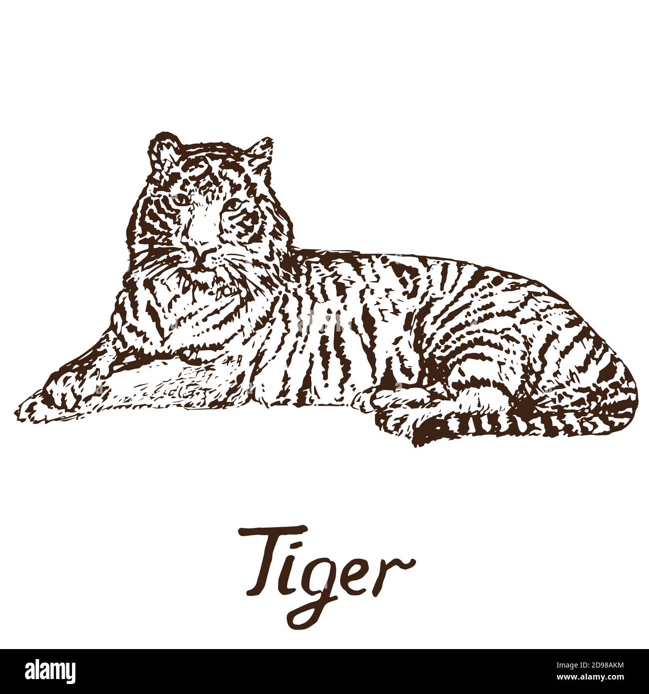 Тигр лежит вектор