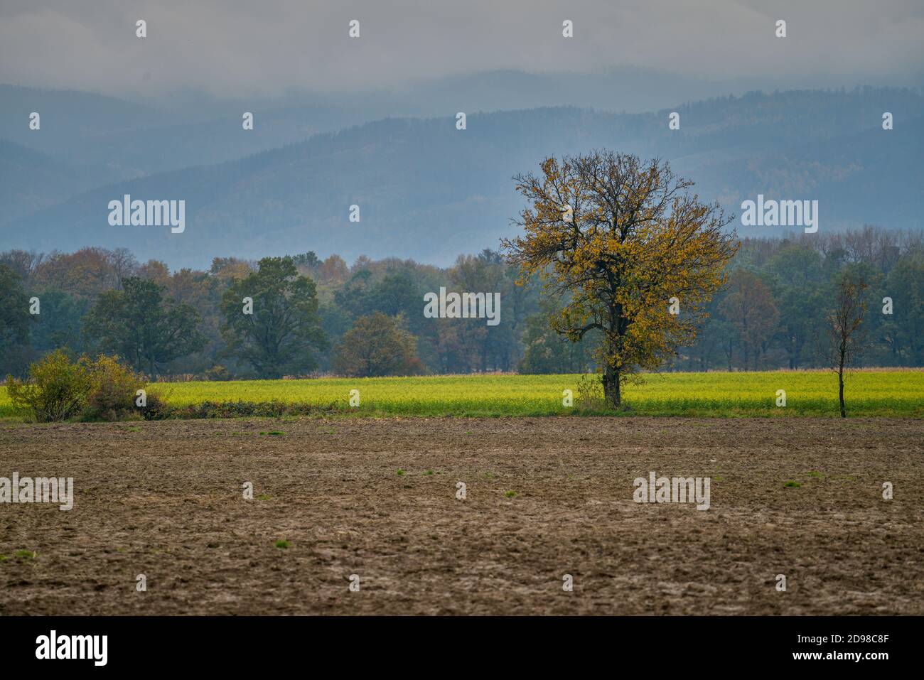 Misty colorful autumn landscape in the foot of the Owl Mountains Lower Silesia Gory Sowie Luxurious fall autumn colors Stock Photo