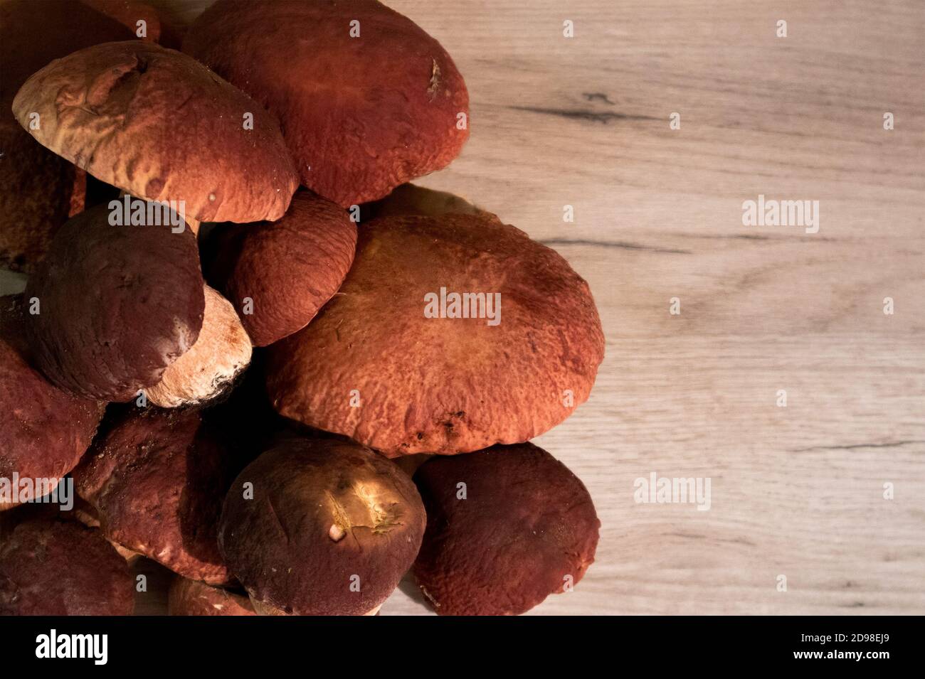 A pile of noble forest mushrooms boletus and red cap boletus lying on a wooden board Stock Photo
