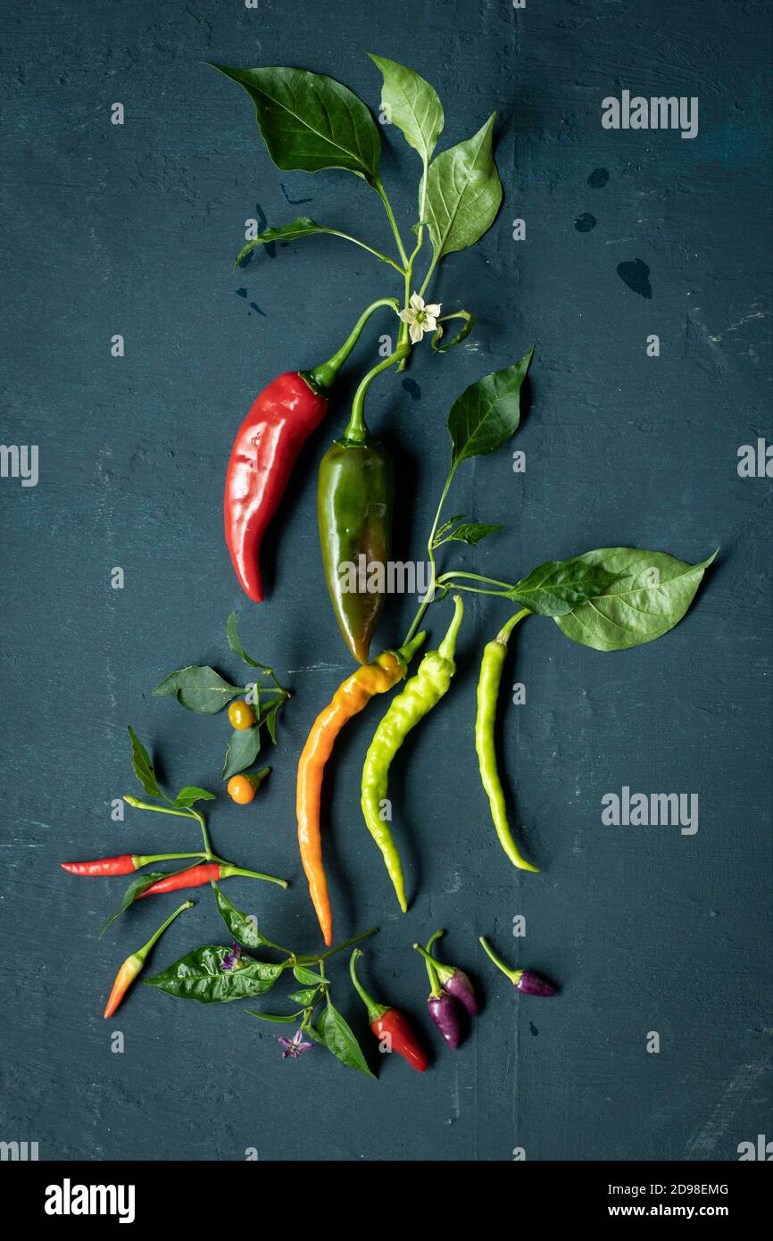 Chillies UK+Irish rights only - call office for any other territories Stock Photo