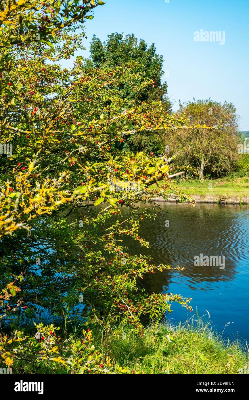 Local country park Stock Photo Alamy
