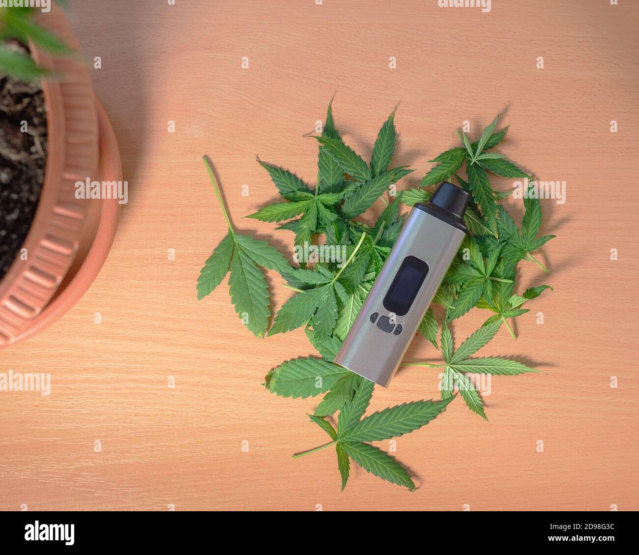 portable electronic vaporizer for smoking dry herbs next to hemp leaves on the table Stock Photo