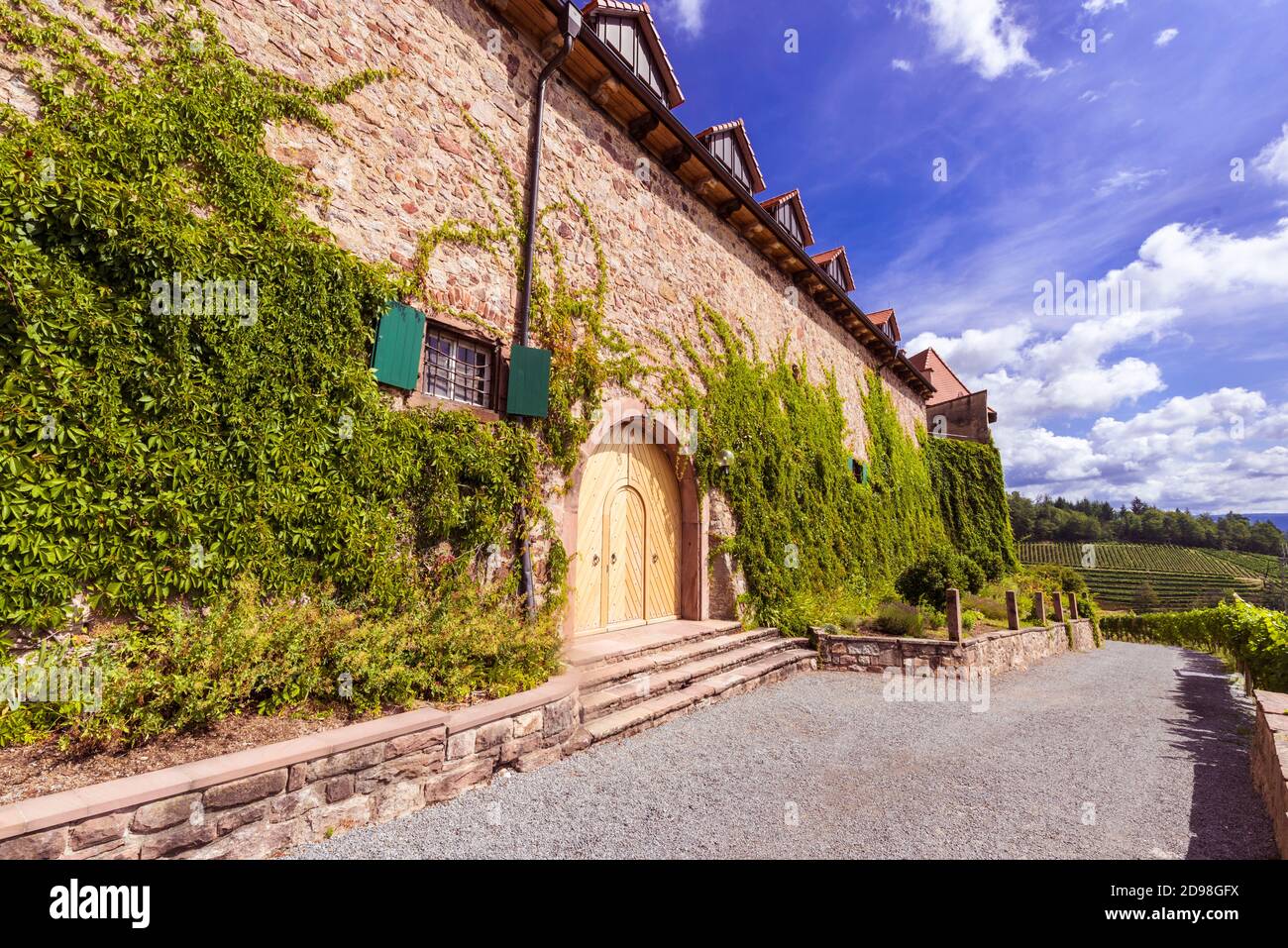 The castle wall of castle Staufenberg near the village Durbach in the region Ortenau_ Baden Wuerttemberg, Germany, Europe Stock Photo