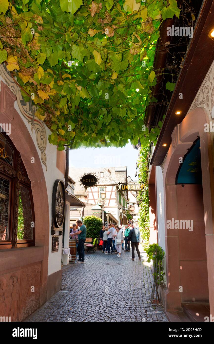 The Drosselgasse in the old town of Ruedesheim. Hesse, Germany, Europe Stock Photo