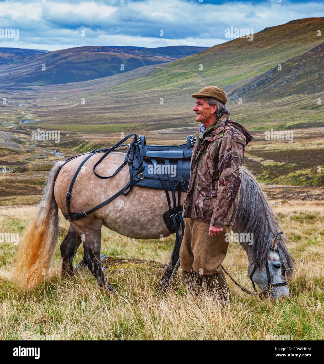 Scotland, UK A ghillie with a working highland pony showing the pack