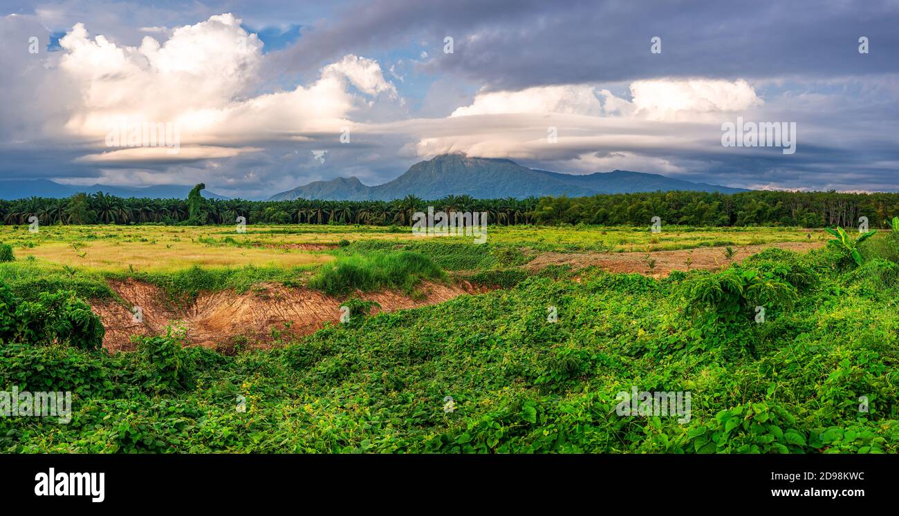 Landscape mountain view with blue sky and white cloud and green grass in evening light, Panorama Stock Photo