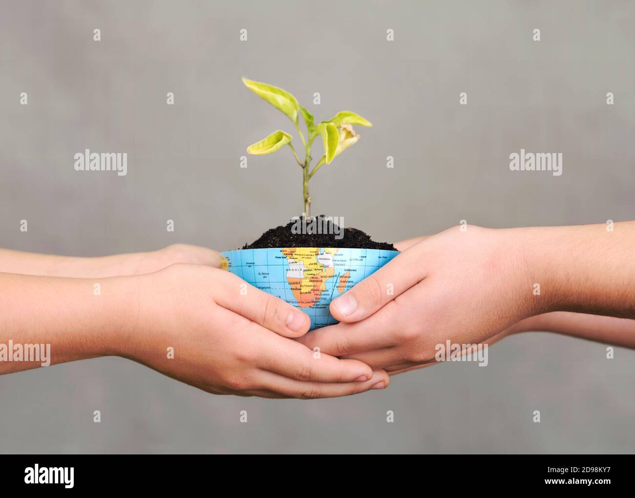 Children hands holding Plant in the the earth globe over gray background.Earth conservation concept. Stock Photo