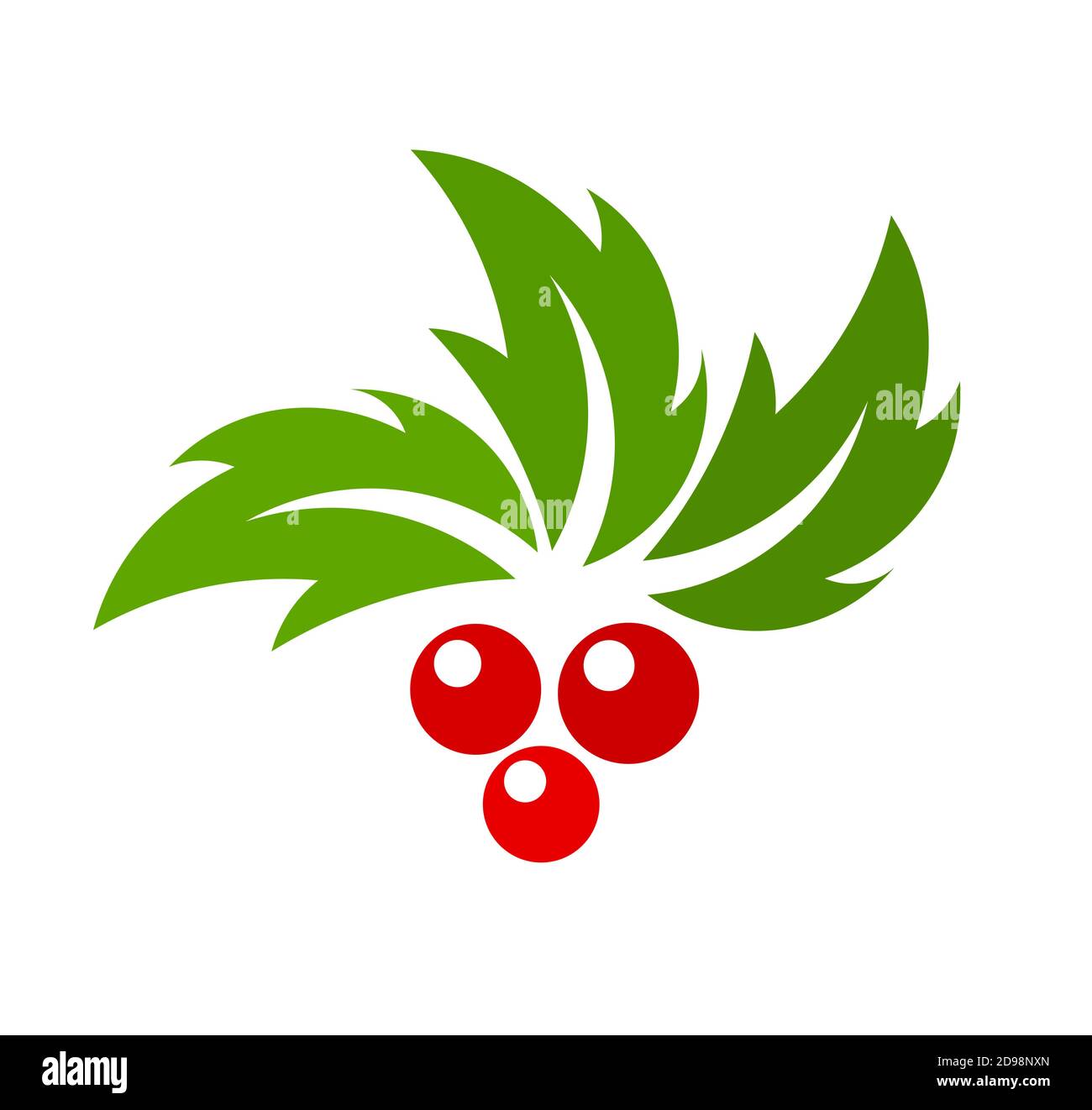 Holly berry. Vector illustration Stock Vector Image & Art - Alamy