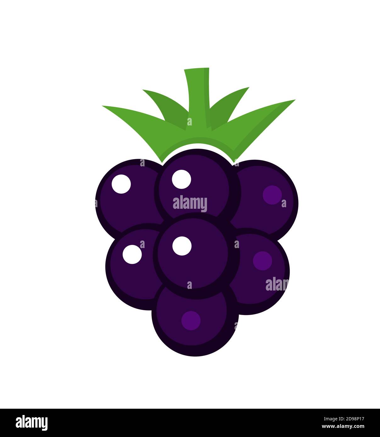 Blackberry fruit. Vector illustration Stock Vector Image & Art Alamy