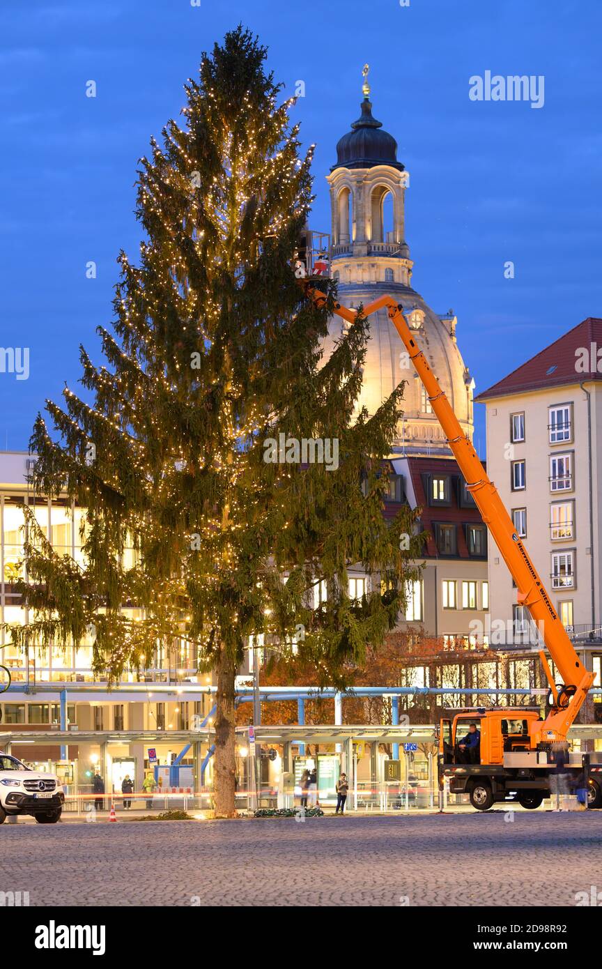Dresden, Germany. 03rd Nov, 2020. A chain of lights is attached to a 120 year old and 37 meter high spruce tree on the Altmarkt in front of the Frauenkirche. The tree is intended to mark the first milestone of the 586th Striezelmarkt, which cannot take place as planned due to the partial lockdown in November. Credit: Sebastian Kahnert/dpa-Zentralbild/ZB/dpa/Alamy Live News Stock Photo