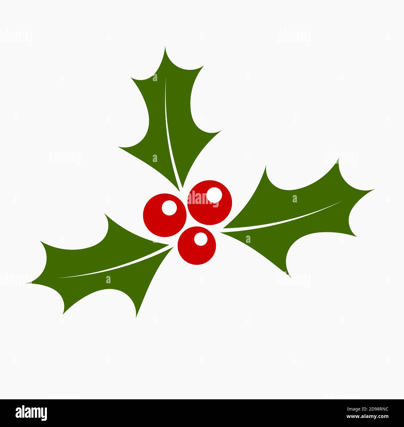 Christmas holly. Vector illustration Stock Vector Image & Art - Alamy