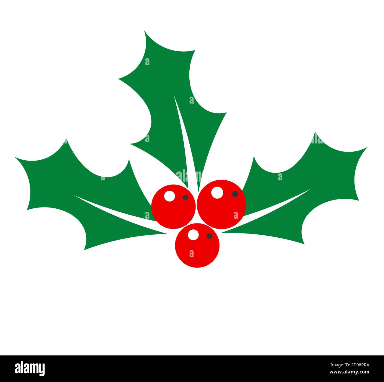 Holly berry. Vector illustration Stock Vector Image & Art - Alamy