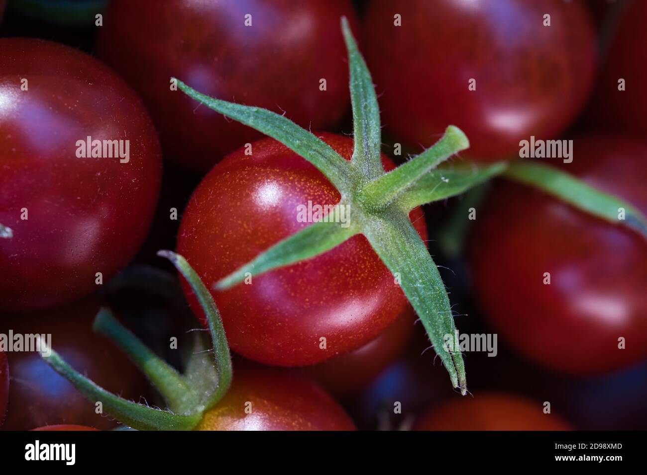 Red ripe fresh harvested cherry tomato texture macro, full frame food background Stock Photo