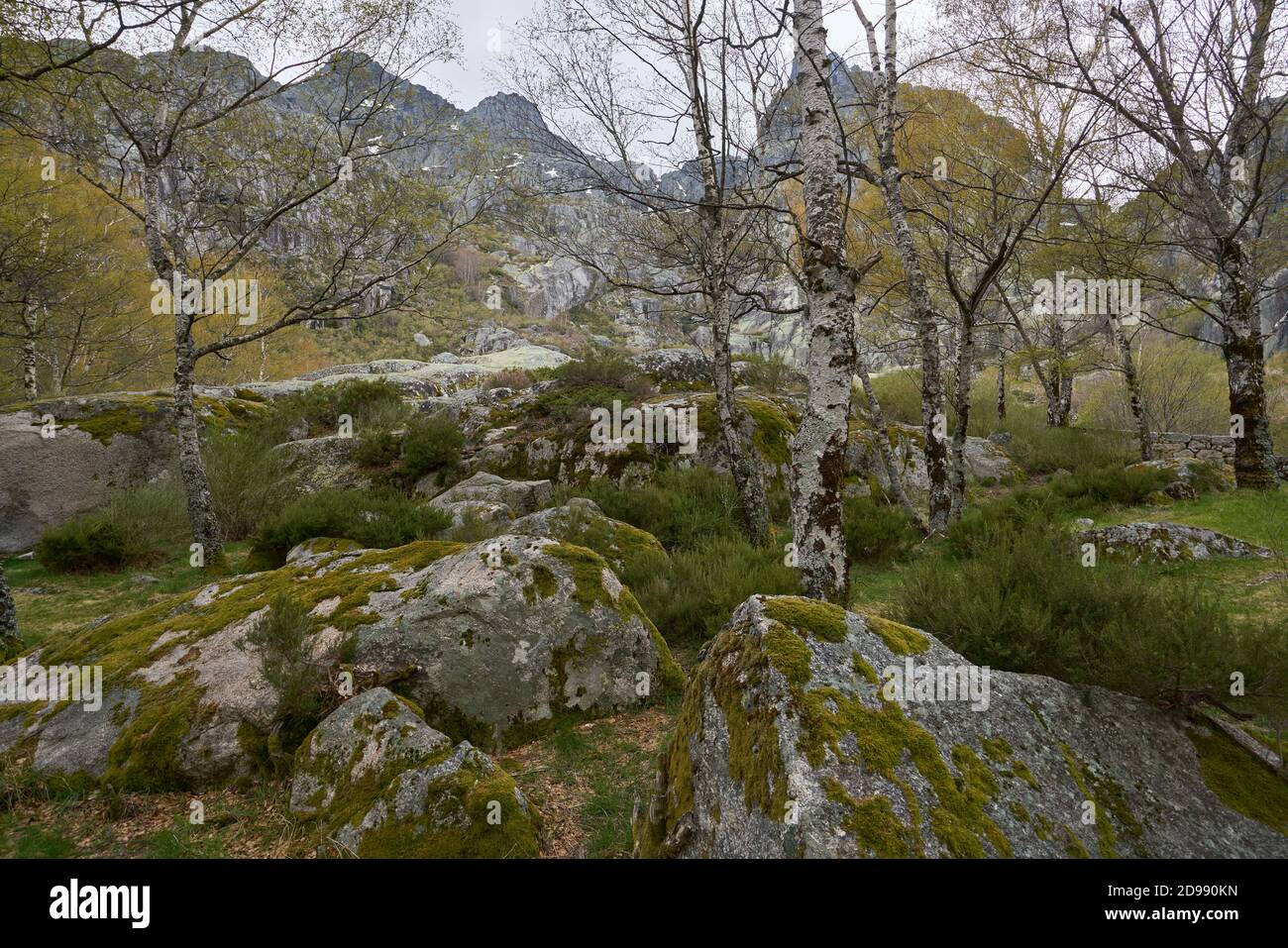 Landscape mountains and trees in Covao d ametade in Serra da Estrela, Portugal Stock Photo