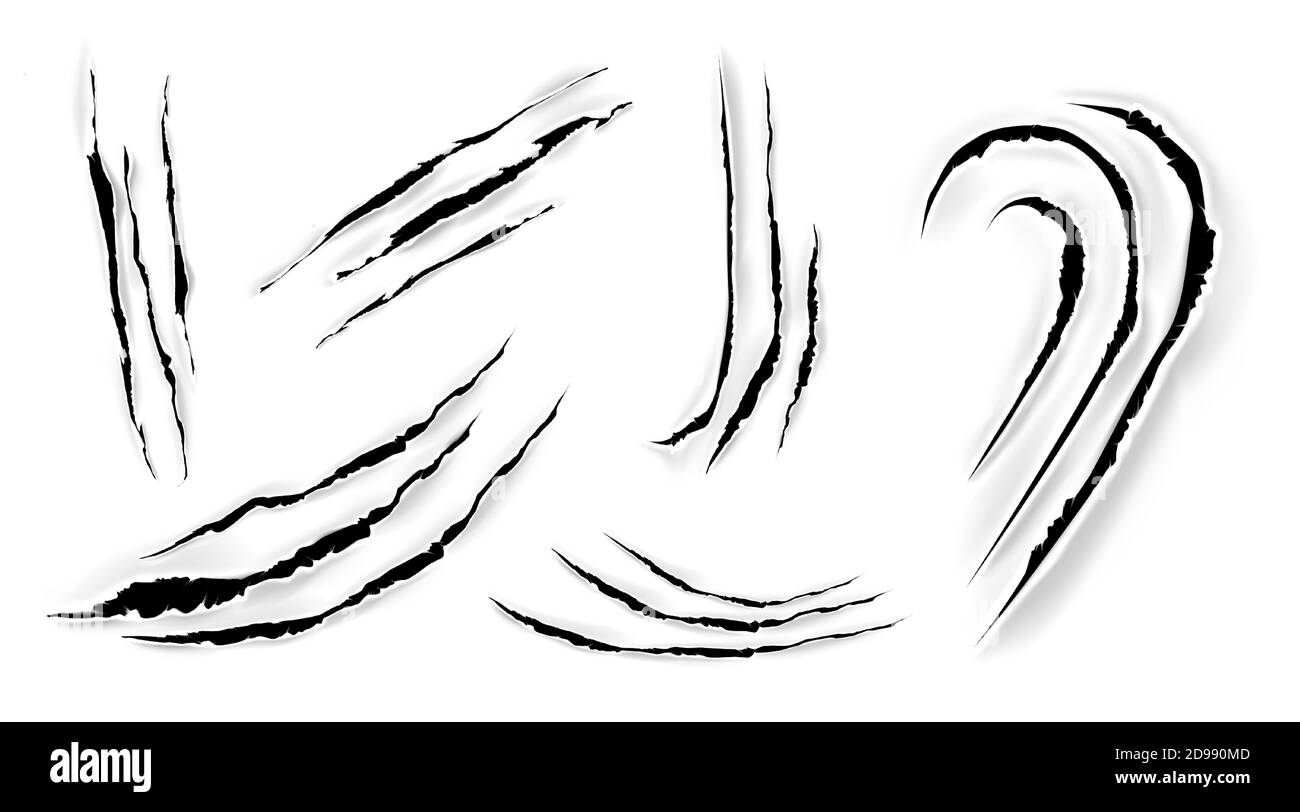 Cat claw scratches on paper. Black torn slashes from wild animal, tiger, bear or lion paws isolated on white background. Vector realistic sharp talons marks, trails and scrapes from monster nails Stock Vector