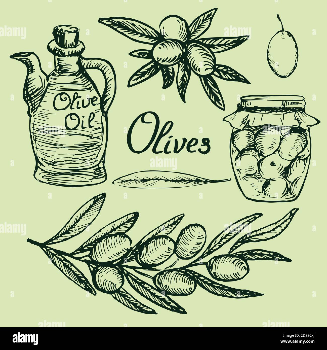 Olive jar sketch hires stock photography and images Alamy