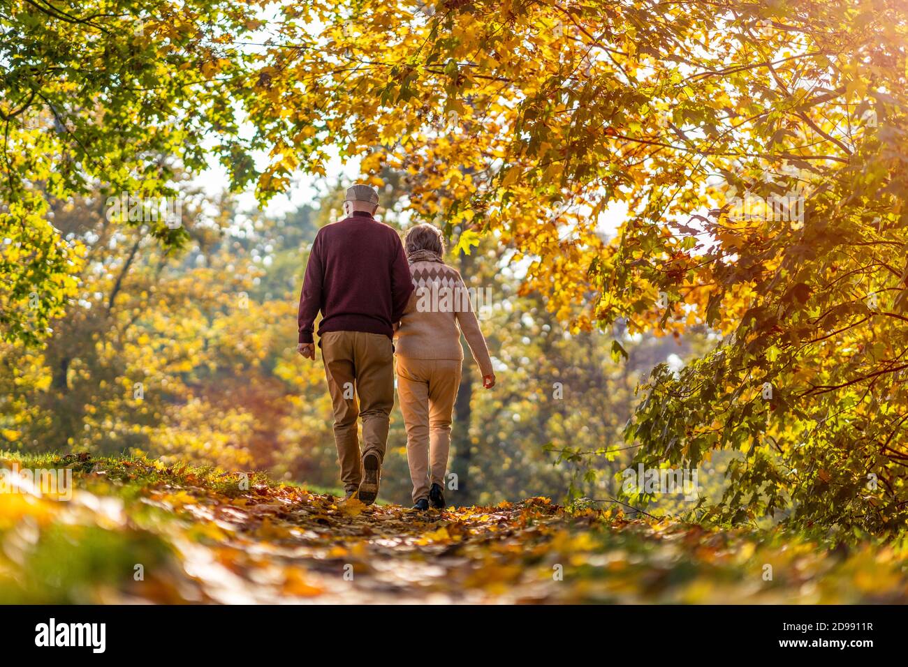 Happy senior couple spending time together in beautiful city park in ...