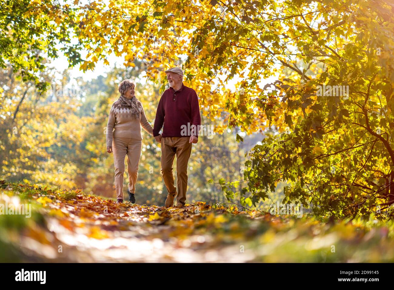 Happy senior couple spending time together in beautiful city park in ...