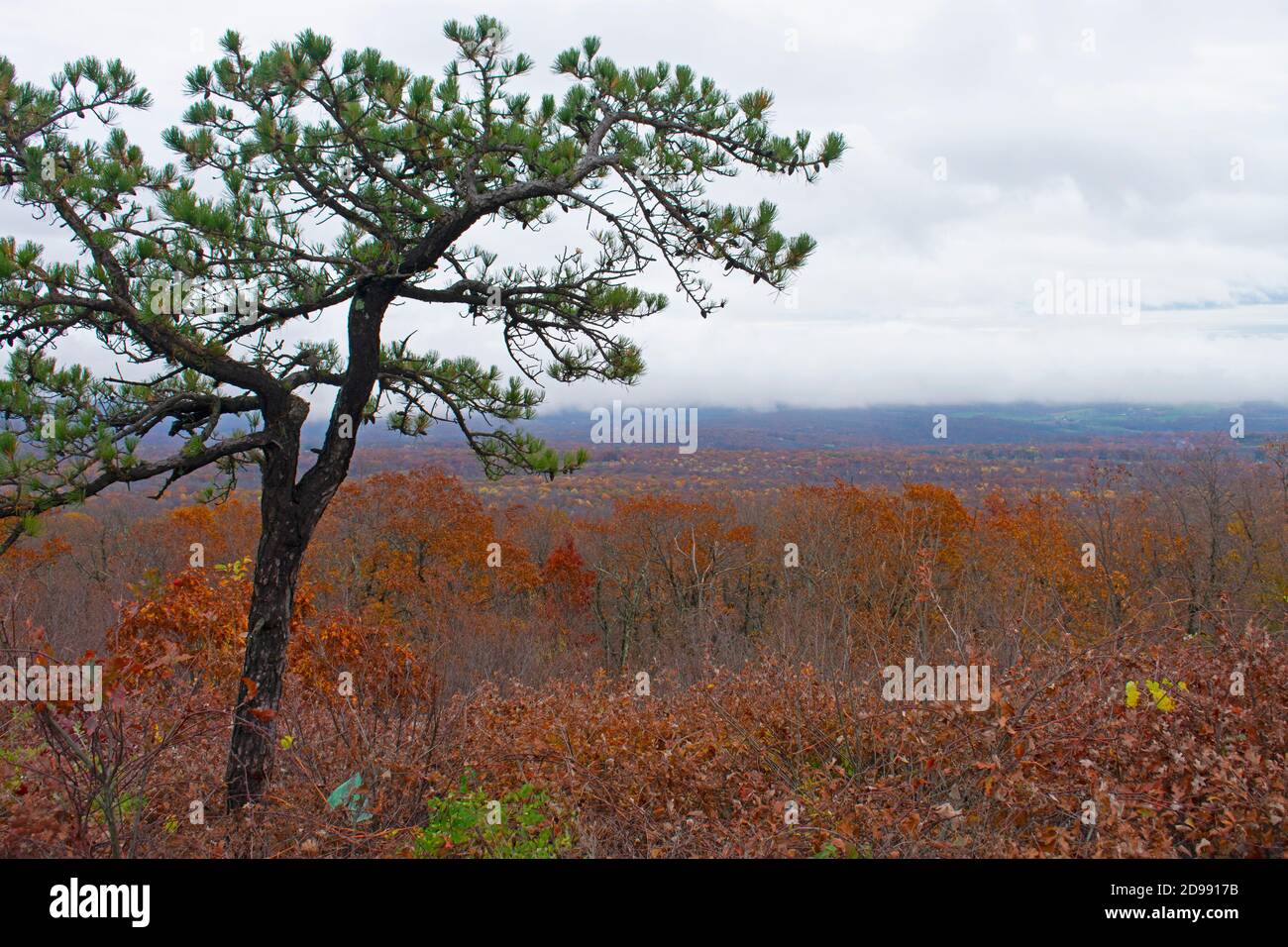 Cloudy skies and lush Autumn foliage at High Point Monument area of High Point State Park in New Jersey, USA -01 Stock Photo
