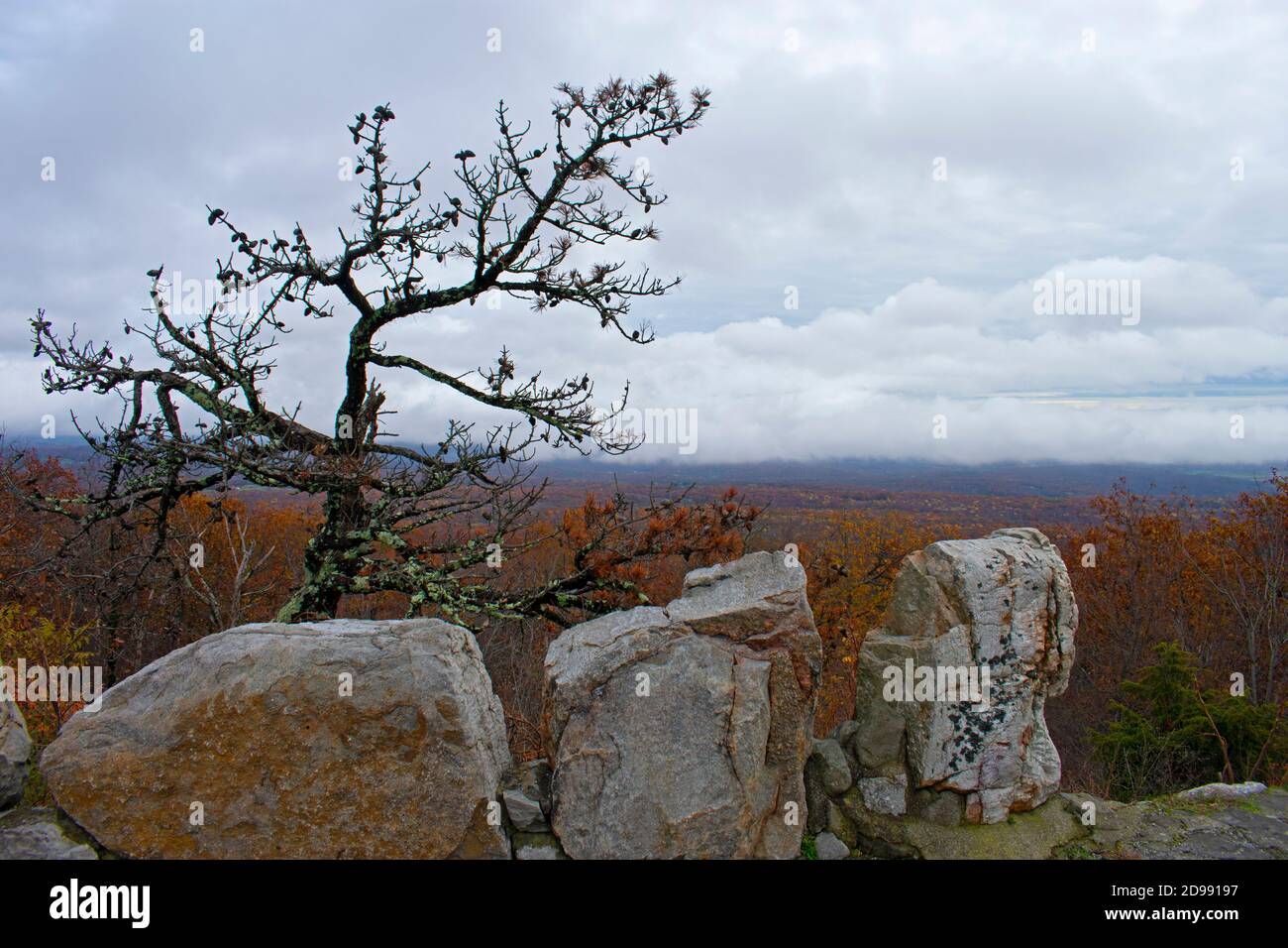 Cloudy skies, large stones, and lush Autumn foliage at High Point Monument area of High Point State Park in New Jersey, USA -03 Stock Photo