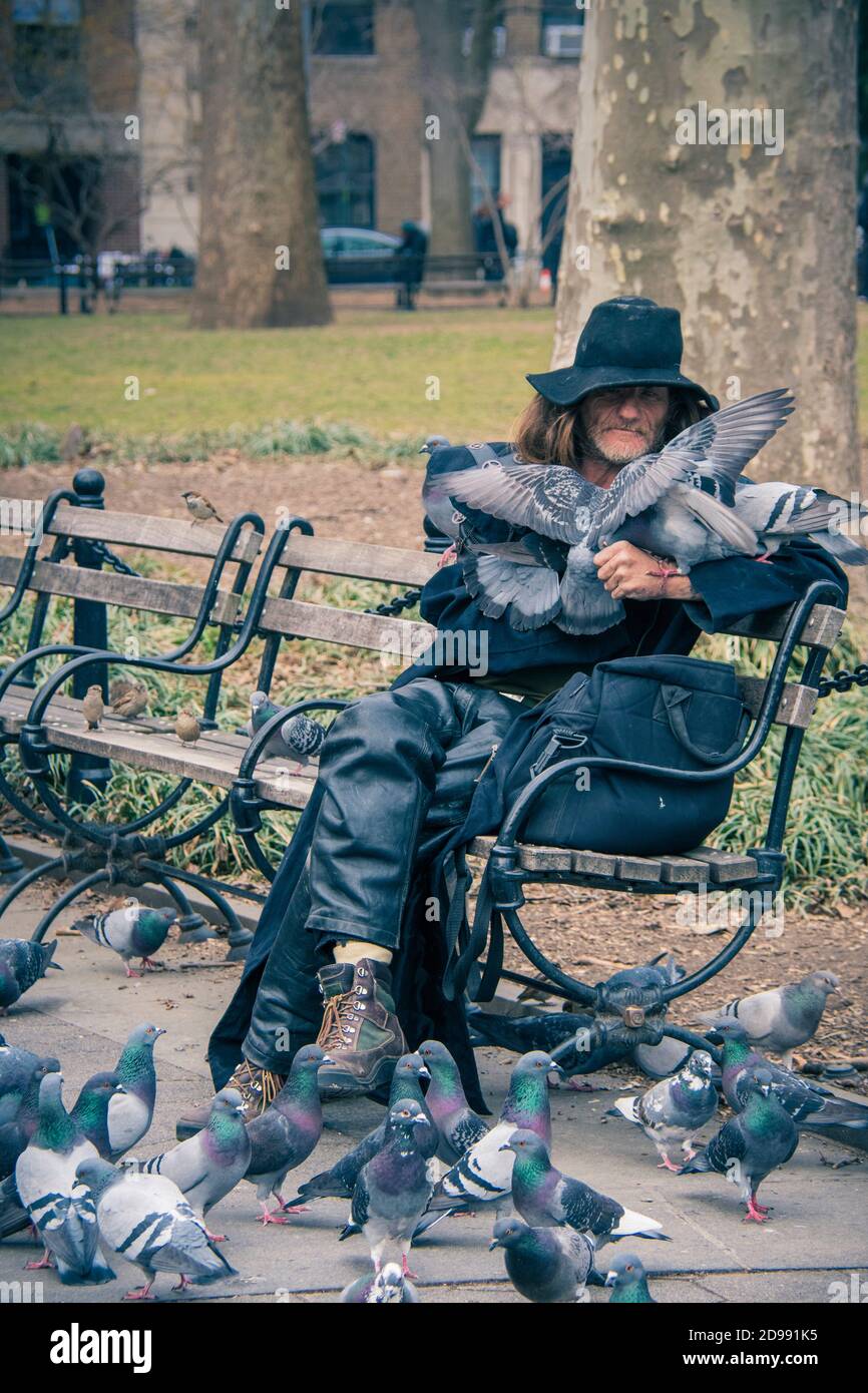 Larry Reddick, known as Larry the Birdman, feeding a flock of pigeons in  Washington Square Park, Greenwich Village, New York City, USA Stock Photo