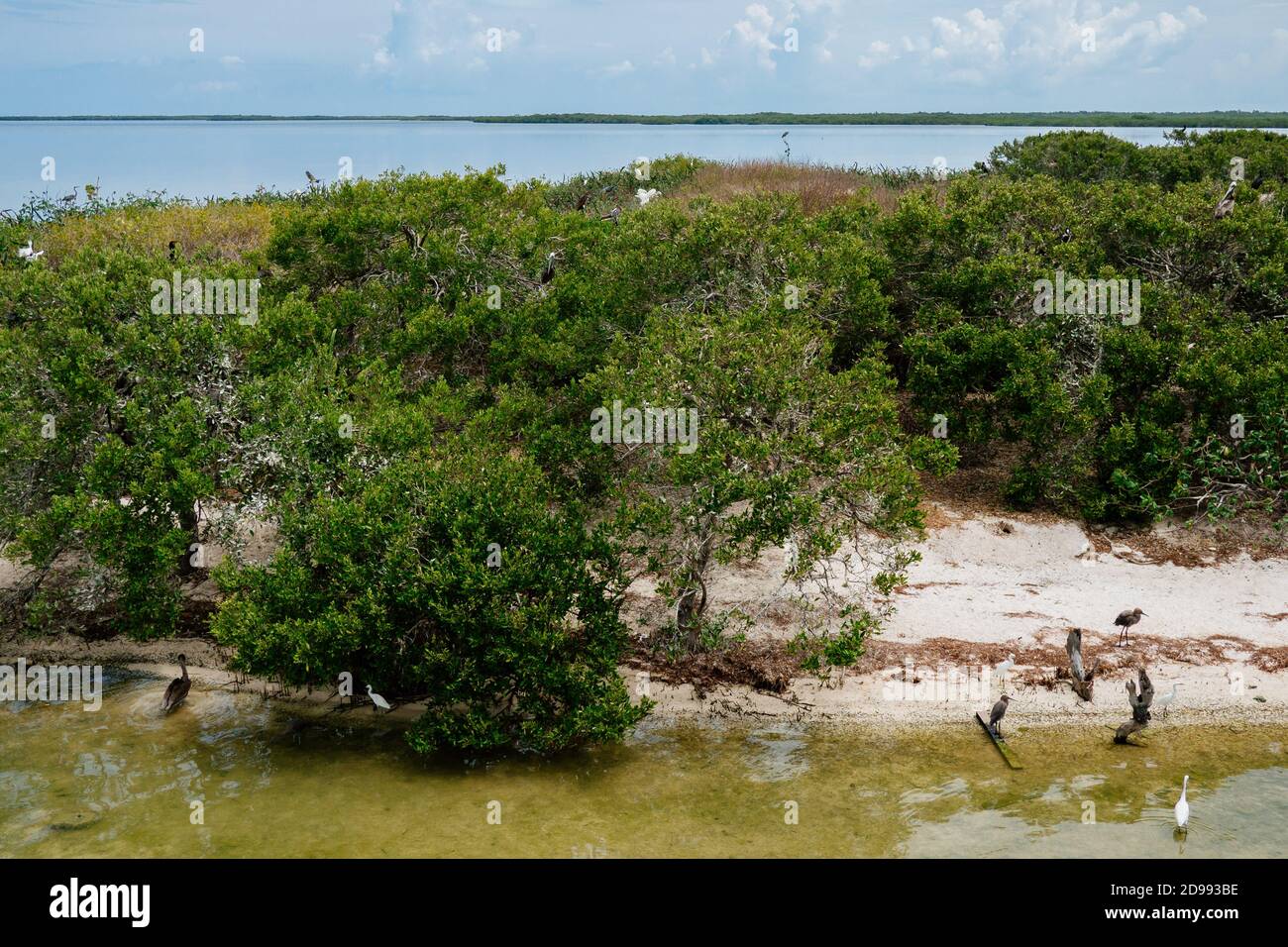 Bird island, part of Isla Holbox, Mexico on Thursday, May 10, 2018