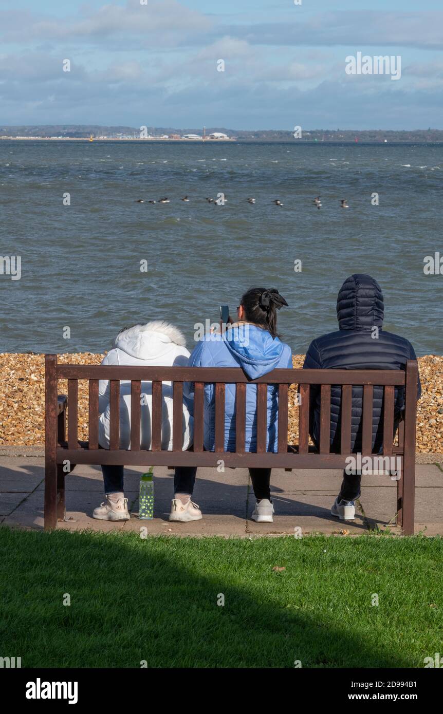 three youths sitting on a bench using mobile device on the seafront at the seaside together. Stock Photo