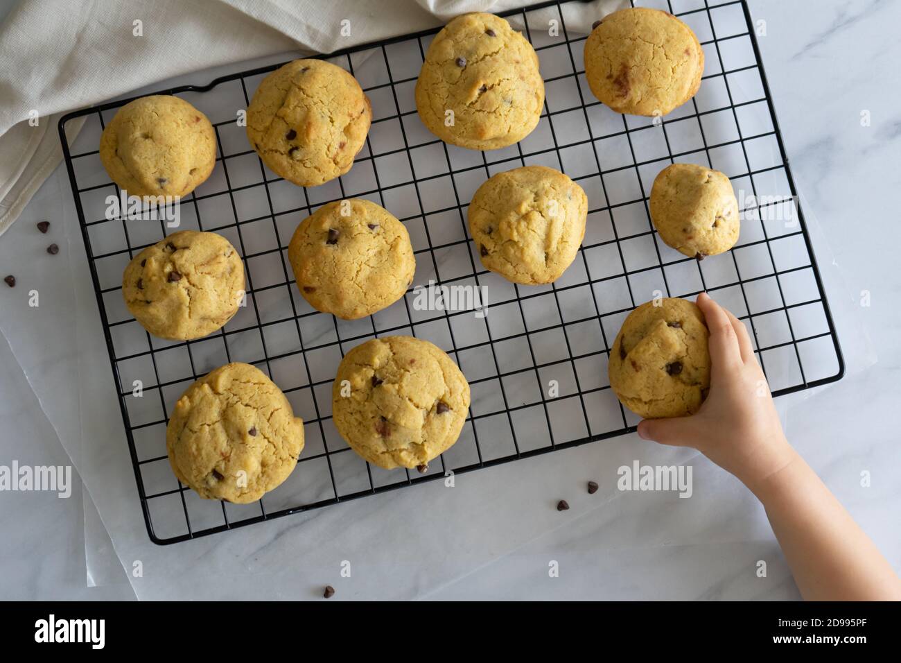 Kid's hand taking a chocolate chip cookie from a cooling rack. Stock Photo