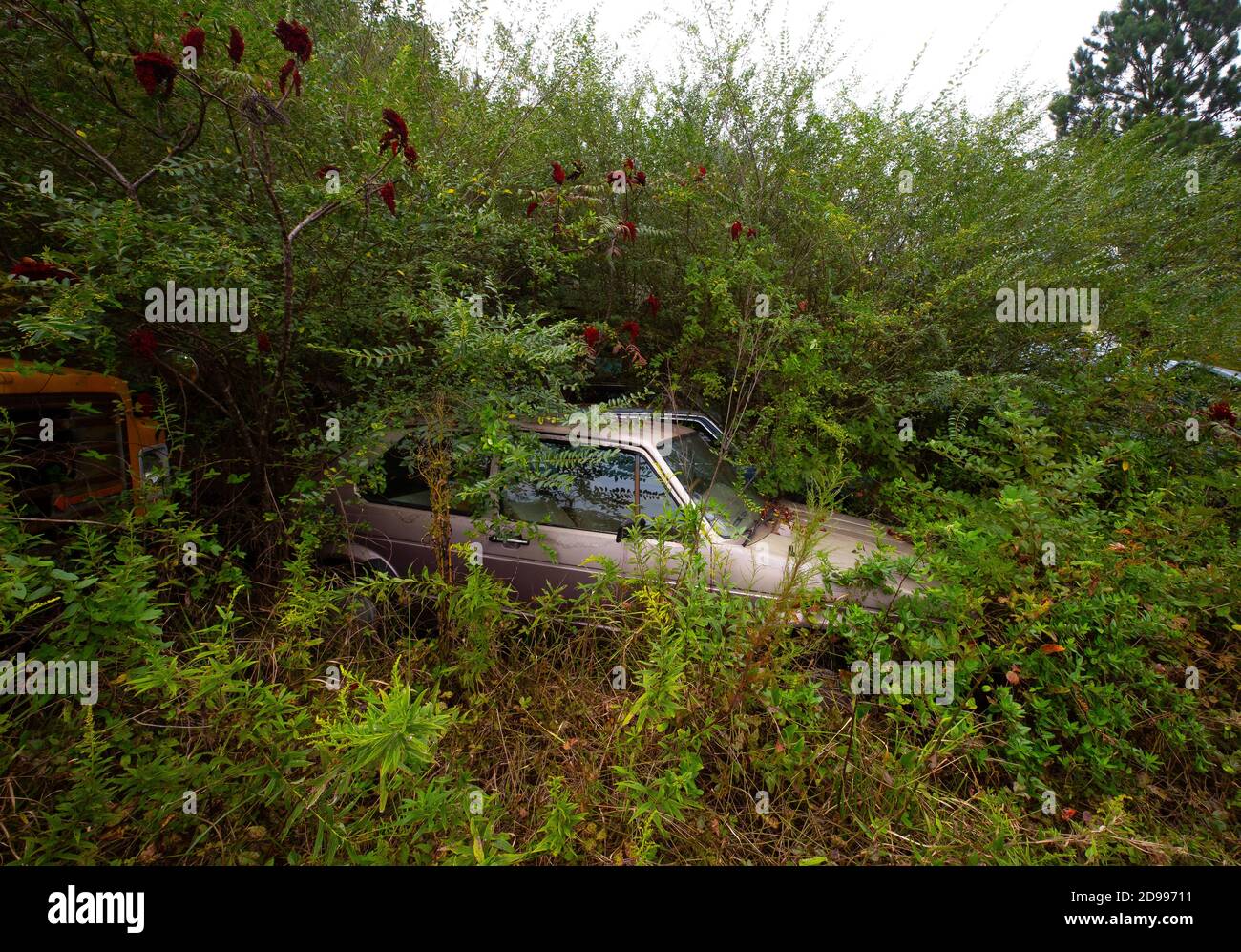 Car junkyard hires stock photography and images Alamy