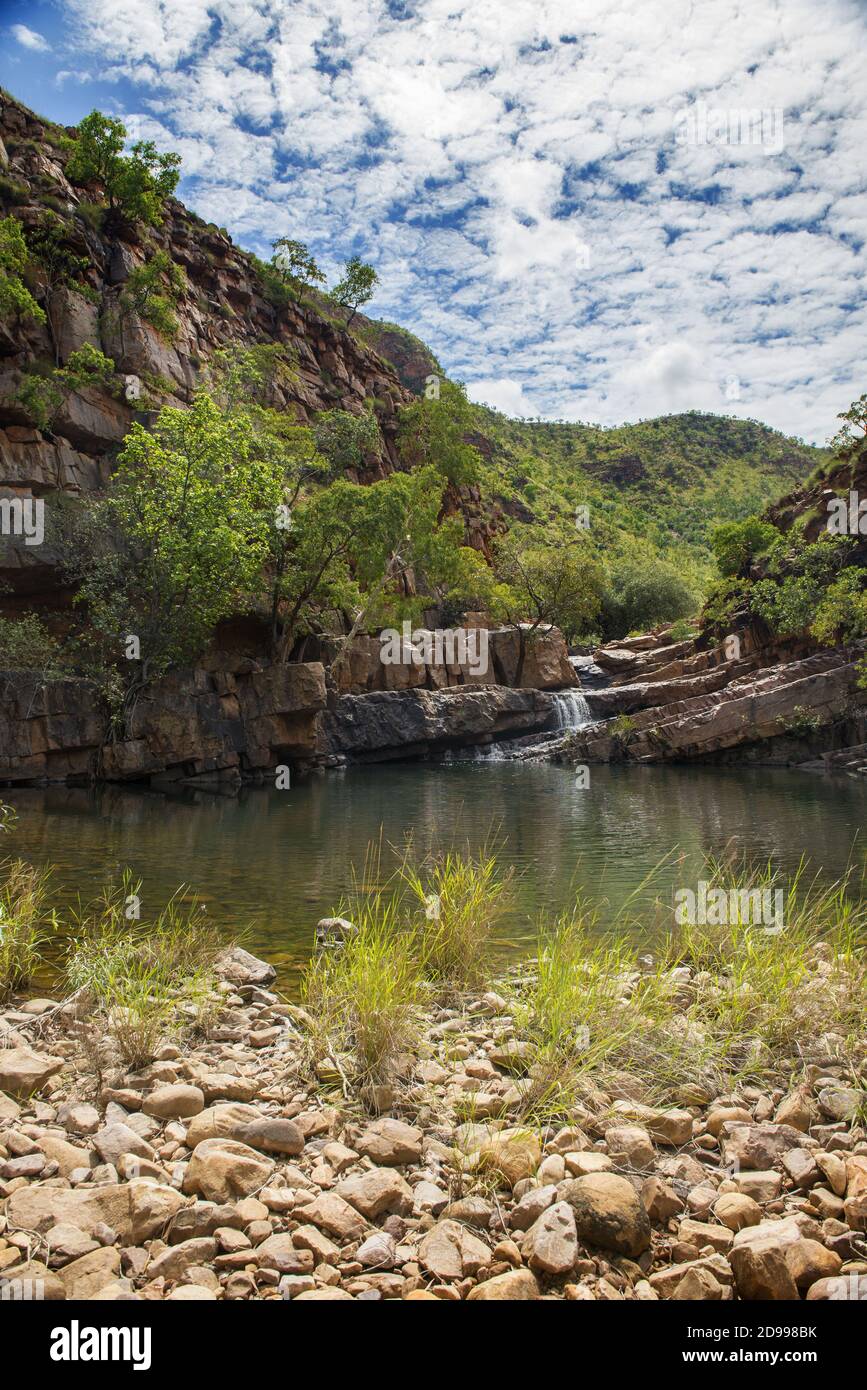 Vertical shot grass beach hi-res stock photography and images - Alamy