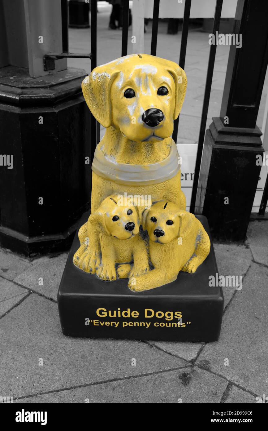 Guide Dogs Donation Box In Moor Street Station Birmingham England UK Stock Photo