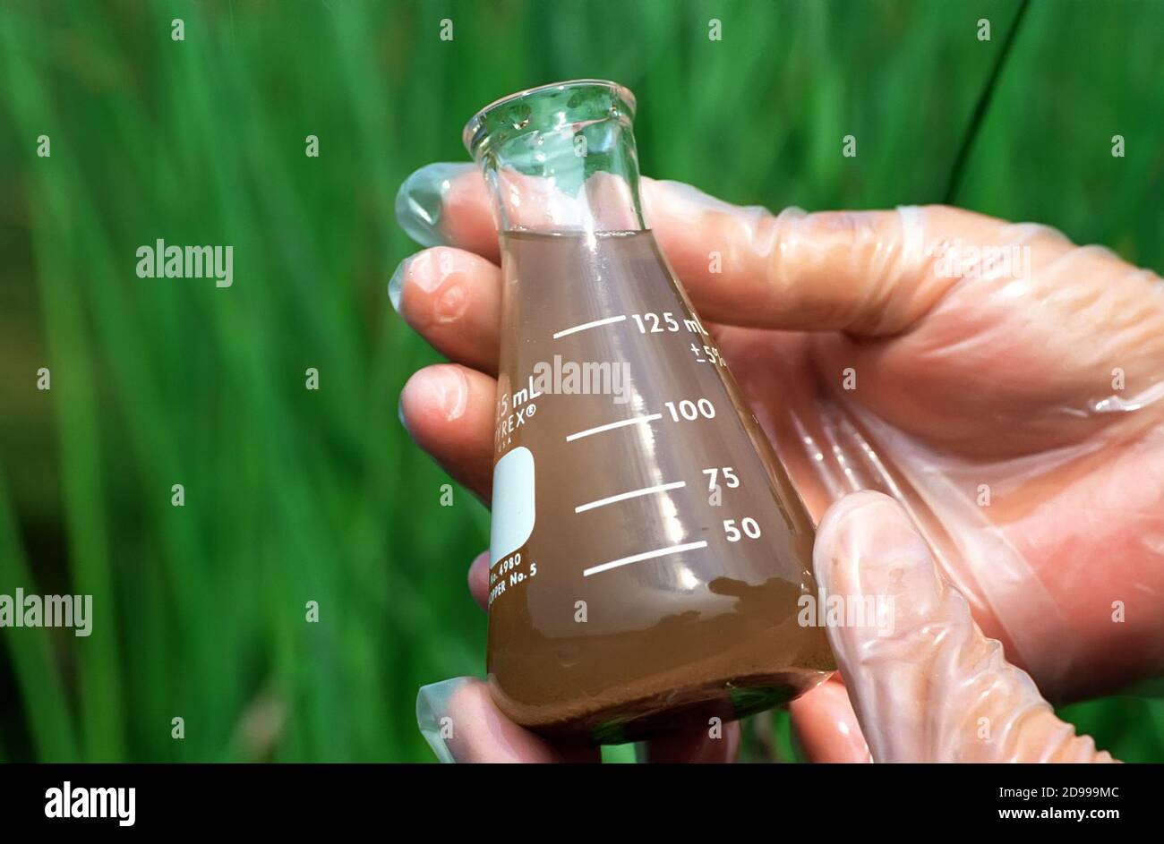 Muddy water from a pond is collected and tested how safe the water is