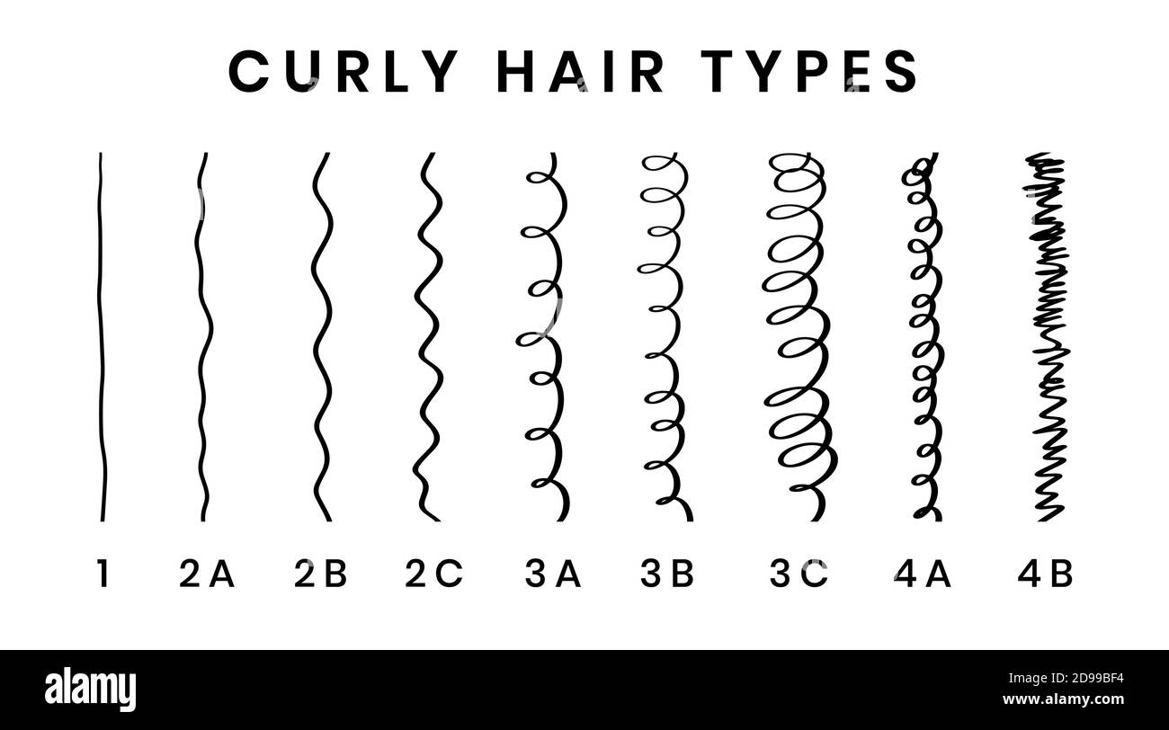 Vector illustration of hair types chart with all curl types, labeled. Curly  girl method concept. From 1 to 4B Stock Vector Image & Art - Alamy