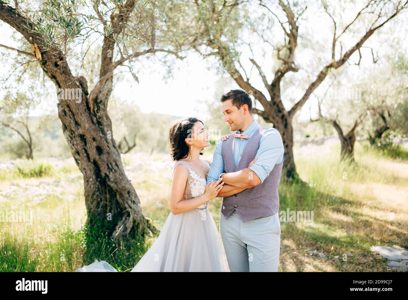 bride and groom in olive grove, looking at each other Stock Photo - Alamy