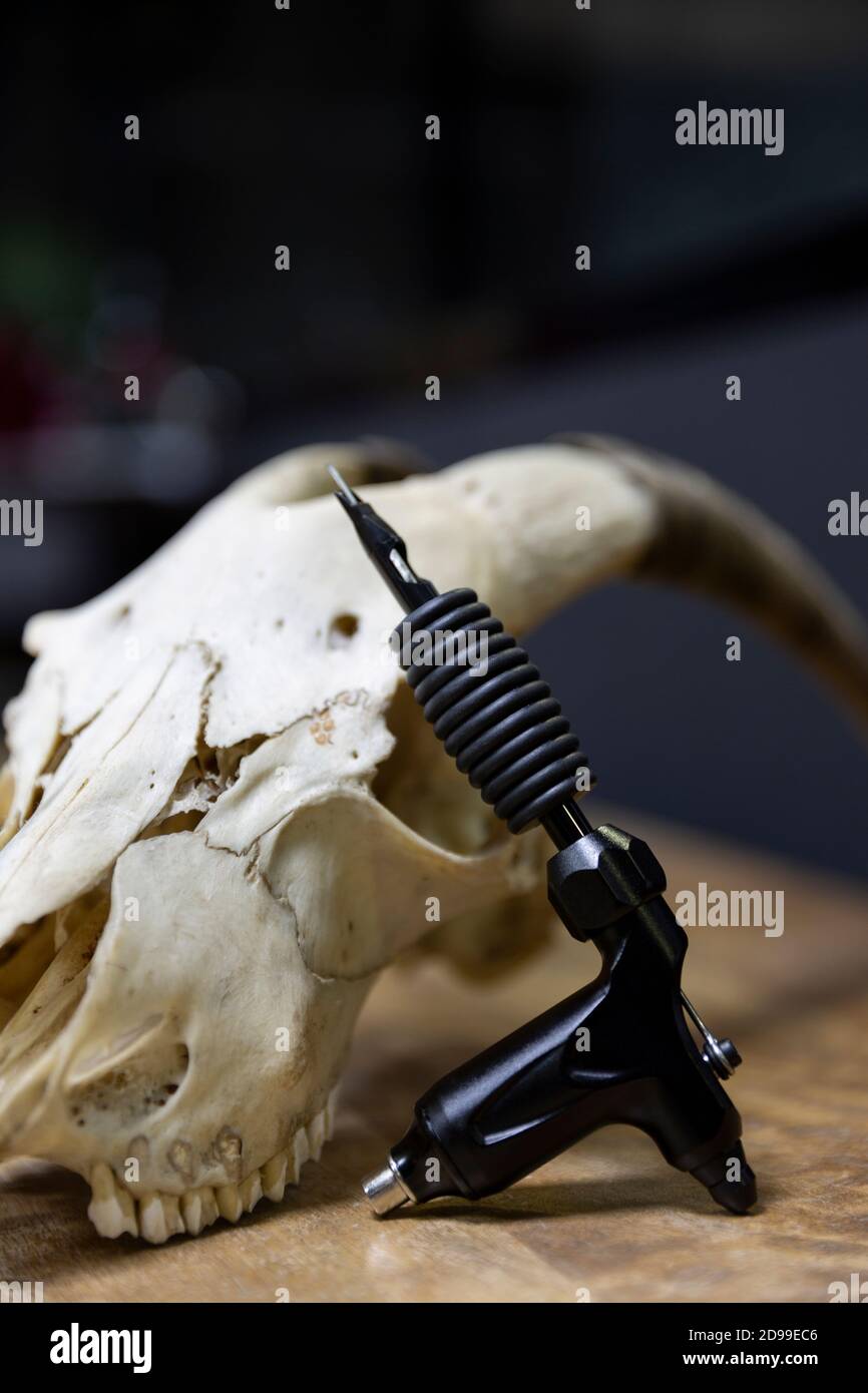 Skull Tattoo Design High Resolution Stock Photography And Images Alamy