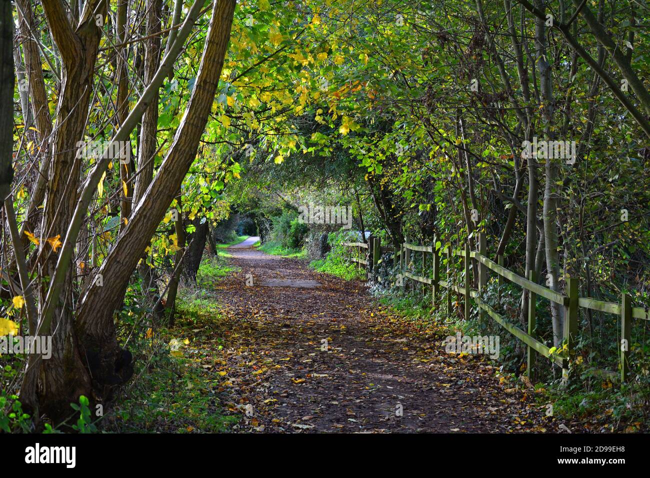 The Trans Pennine Trail at Sprotbrough, South Yorkshire, UK Stock Photo