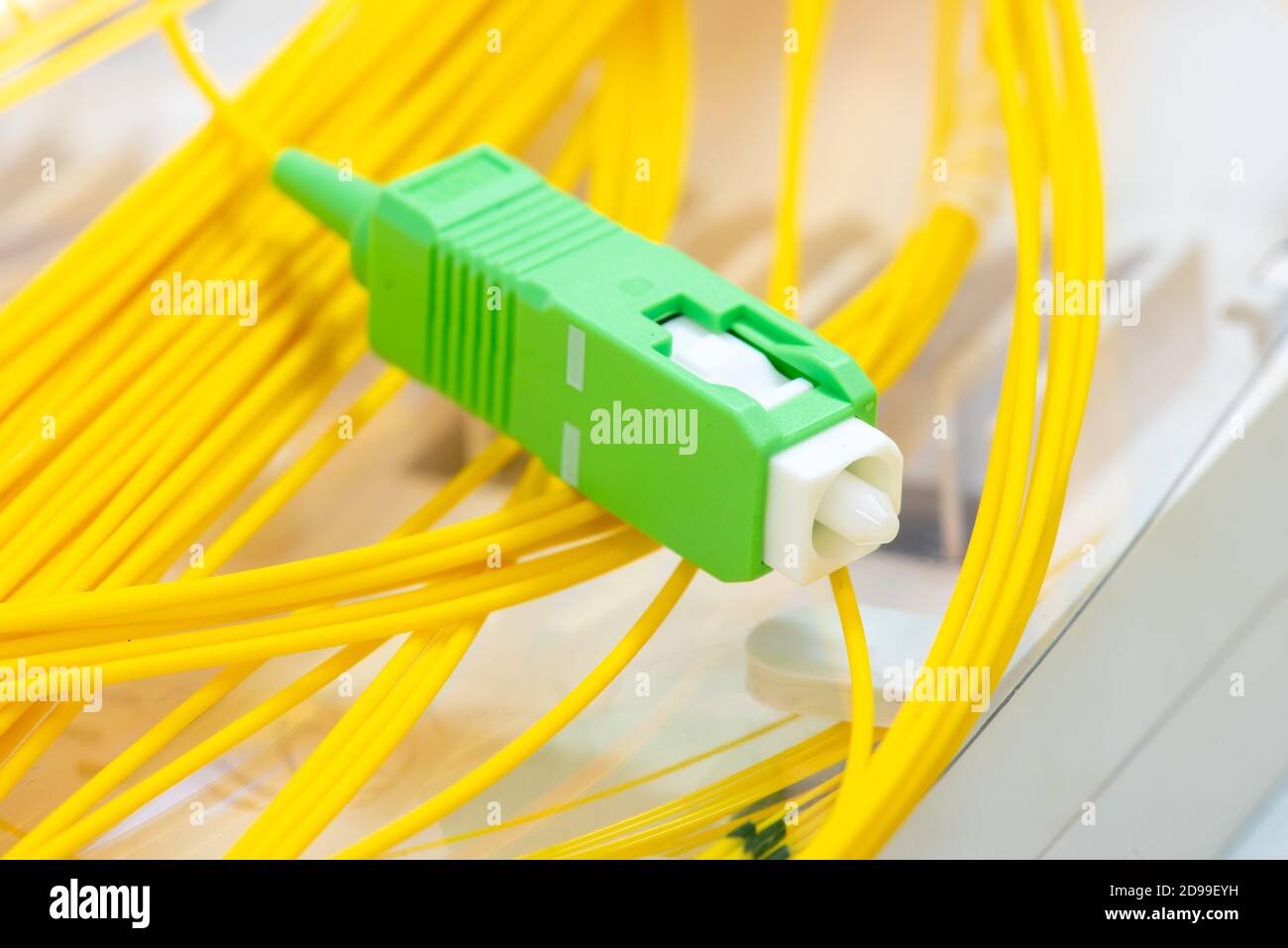 Fiber Optical Network with Single Pigtail Closeup Stock Photo