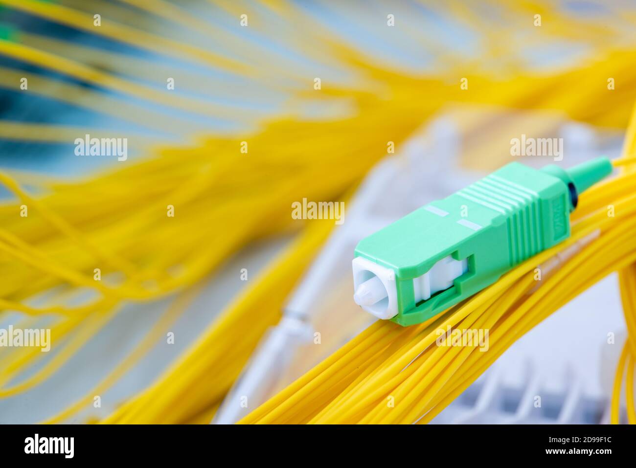 Fiber Optic Pigtail Cables in Distribution Panel Stock Photo