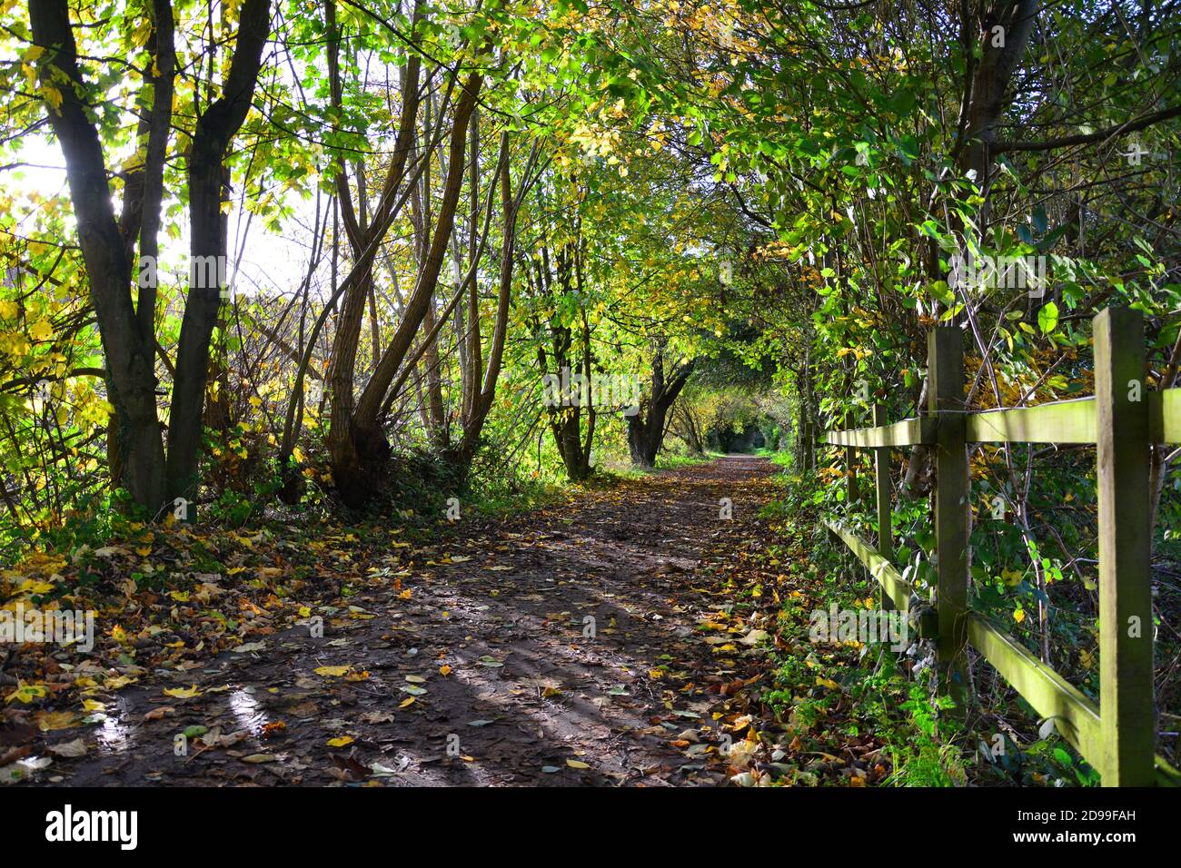 The Trans Pennine Trail at Sprotbrough, South Yorkshire, UK Stock Photo