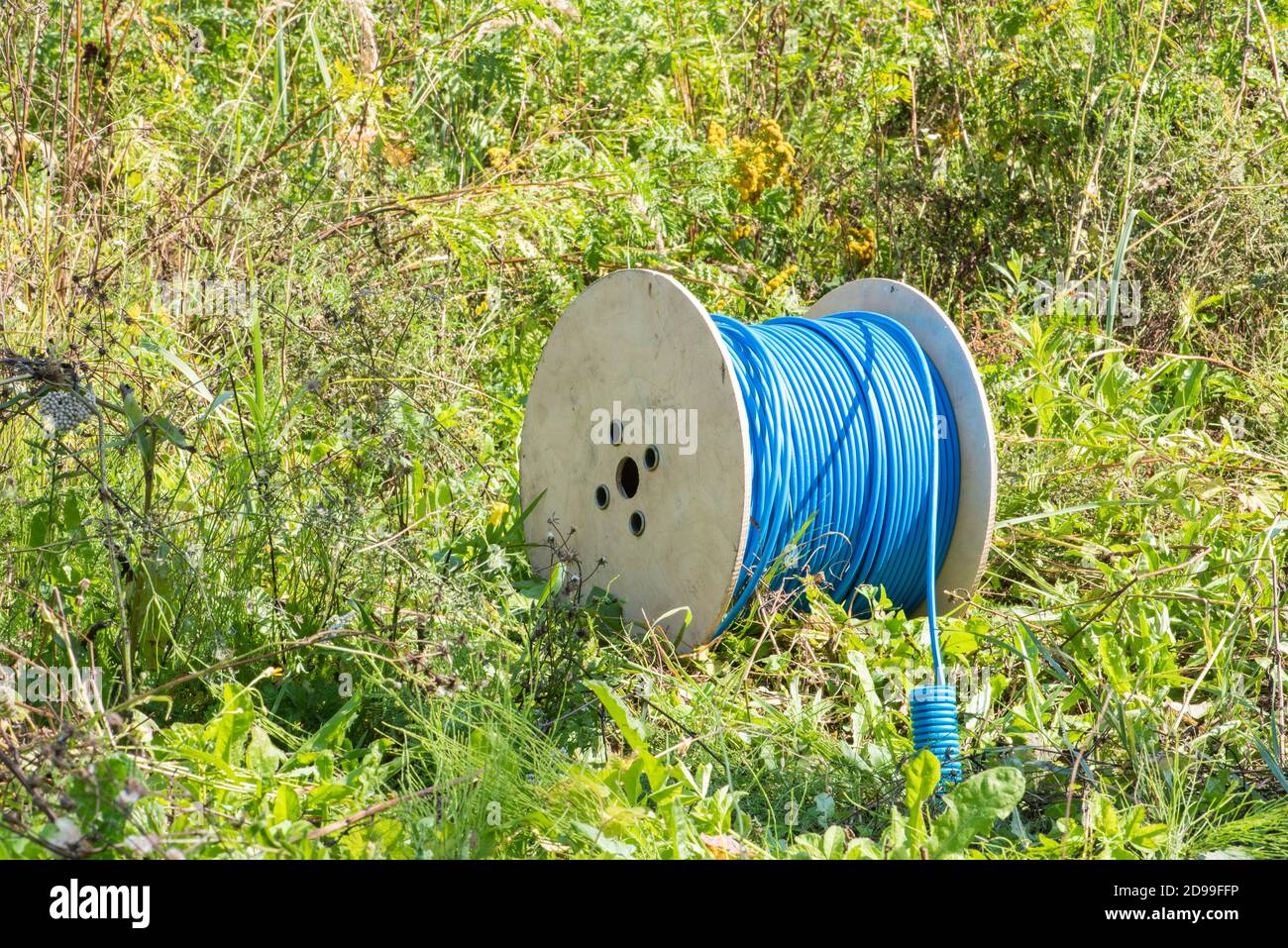 Cable drum with network cord on green meadow field Stock Photo