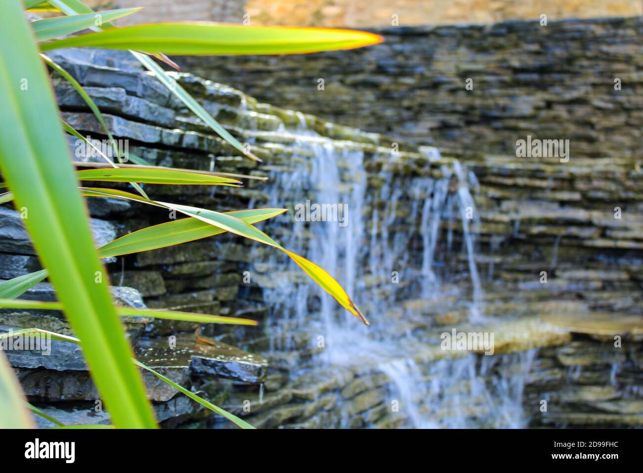 Miniature waterfall in Emirgan, İstanbul. Close-up to the leaves and behind it a clear waterfall. Stock Photo