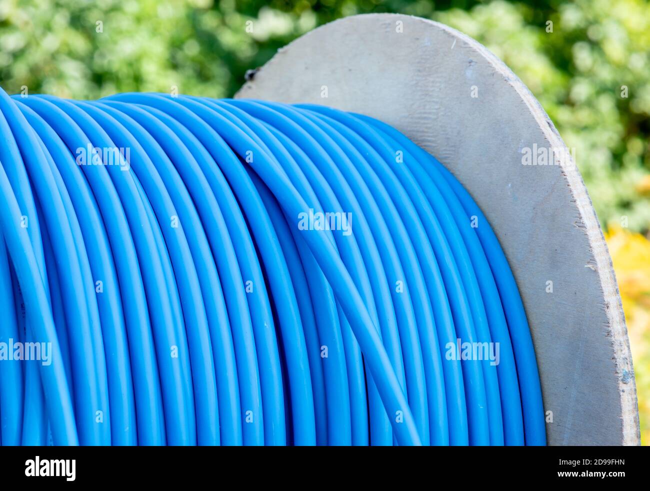 Cable drum with blue network cord Stock Photo