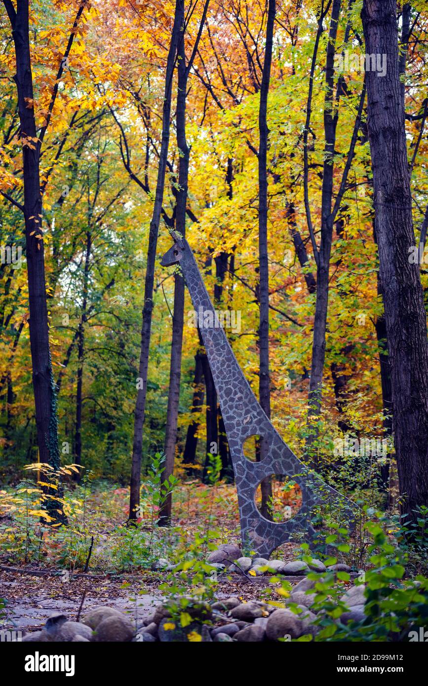 Giraffe in a playground in beautiful and colorful autumn frame Selective focus Stock Photo
