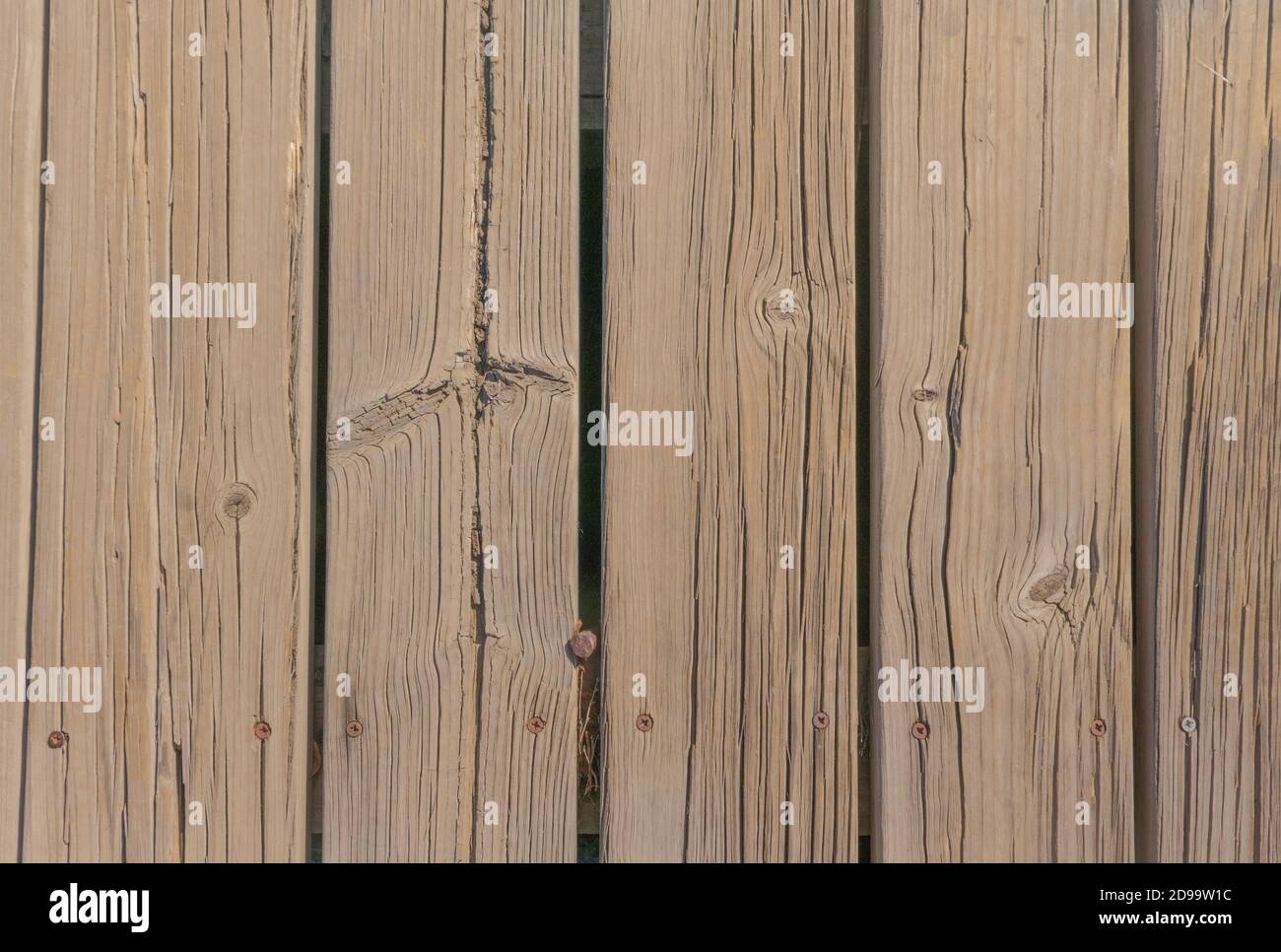Light brown wooden background, background for your photographs Stock Photo