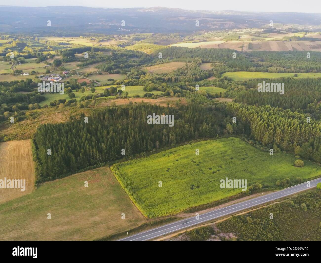 Aerial view of green fields in Spain Stock Photo Alamy