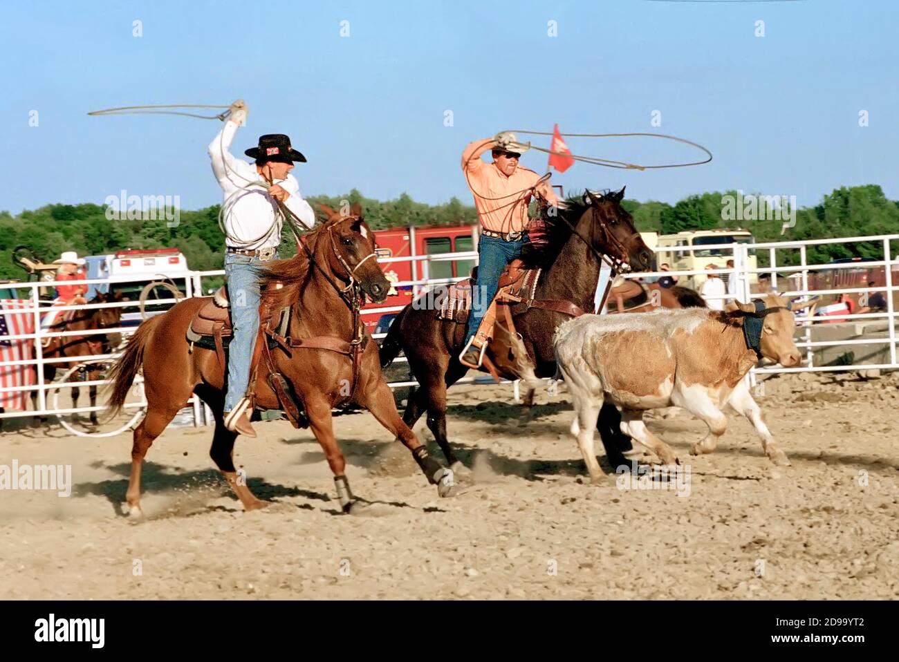 Rodeo horse sporting event Stock Photo Alamy