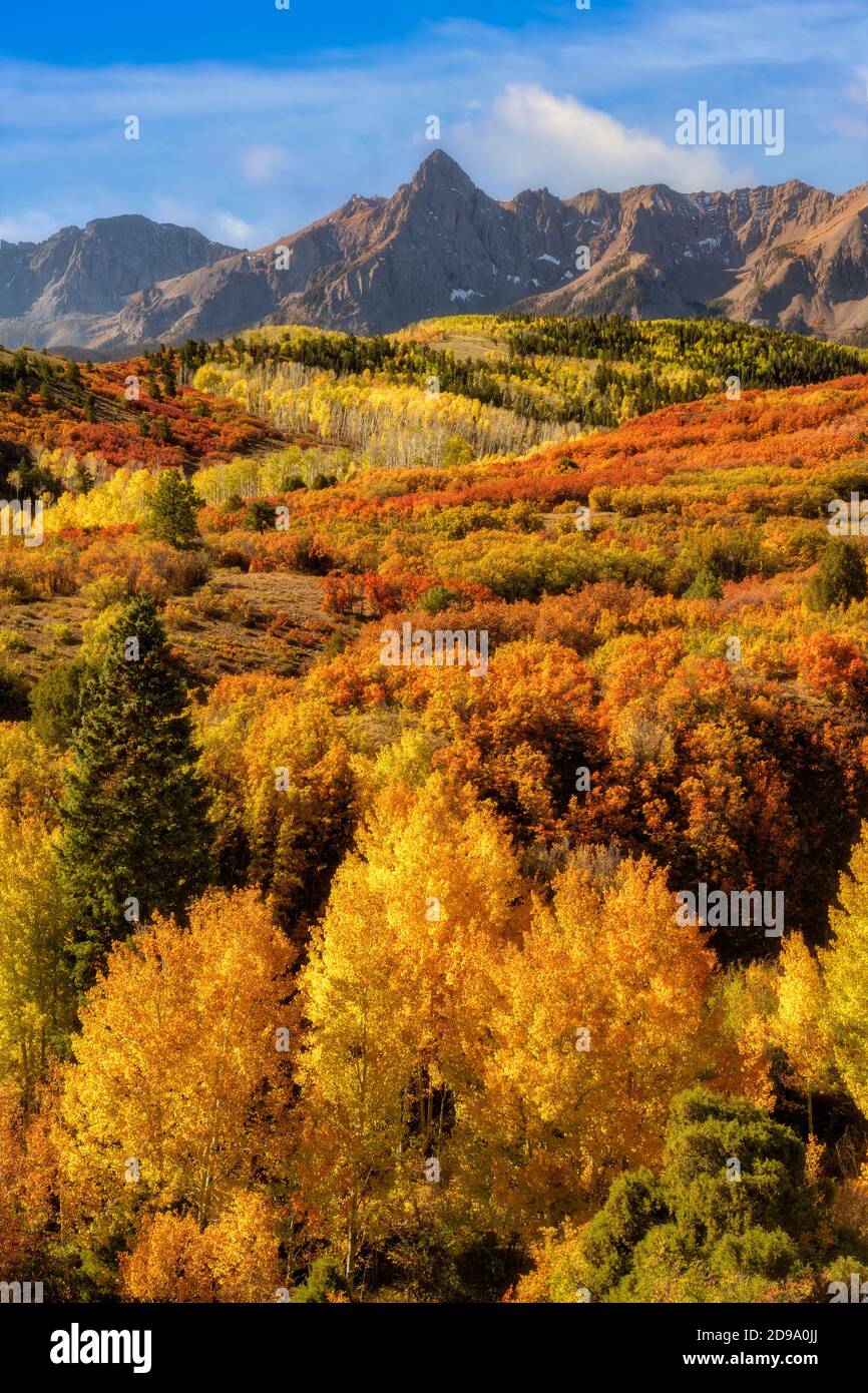 The fall colors grace the mountainside of the Dallas Divide in the fall season Stock Photo