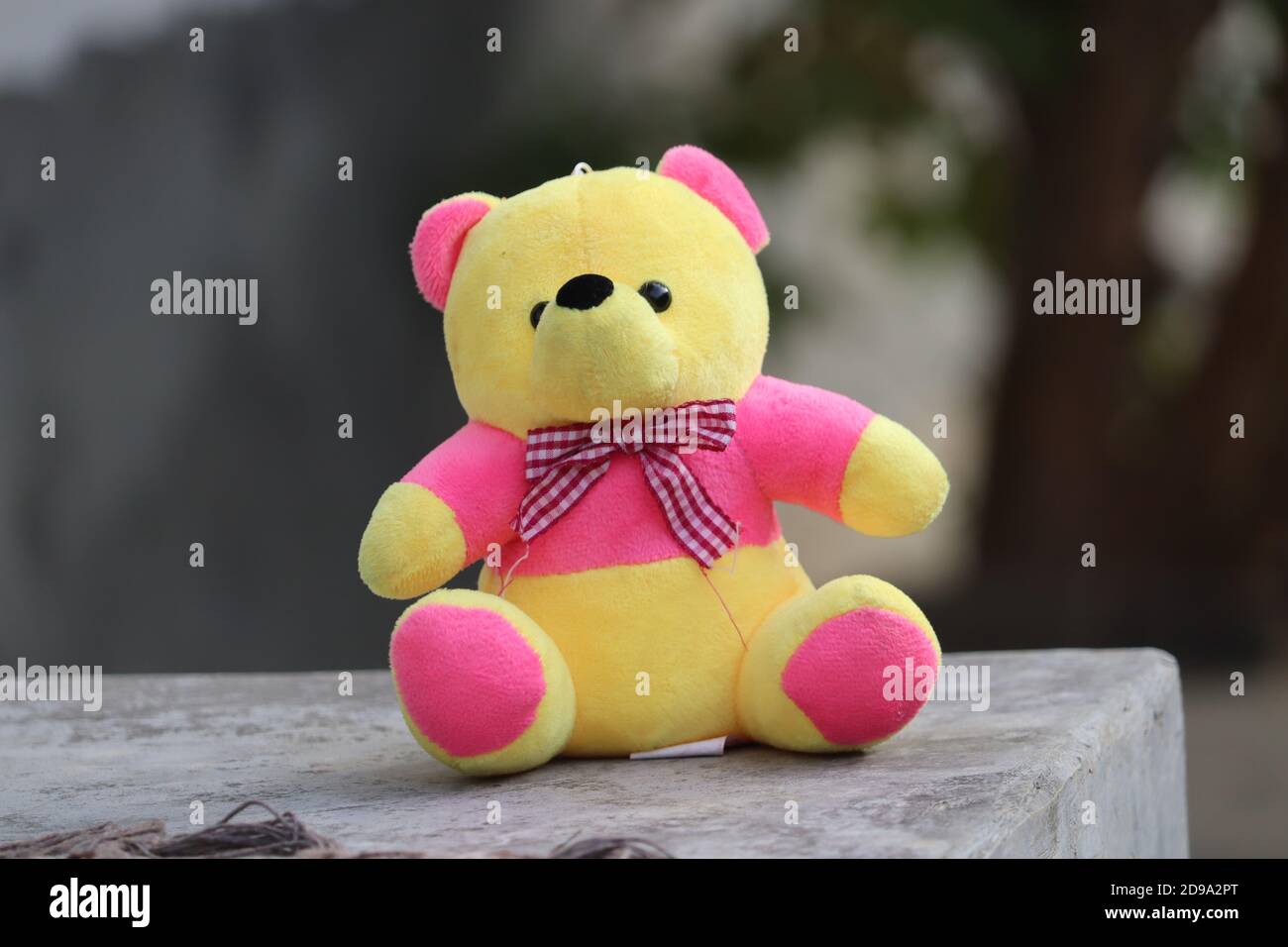 Random photography hires stock photography and images Alamy